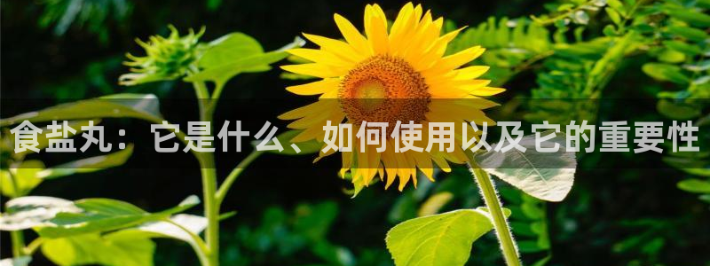 威九国际网站进入产品中心怎么进