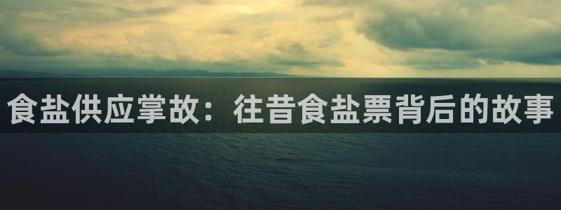 威九国际的女主