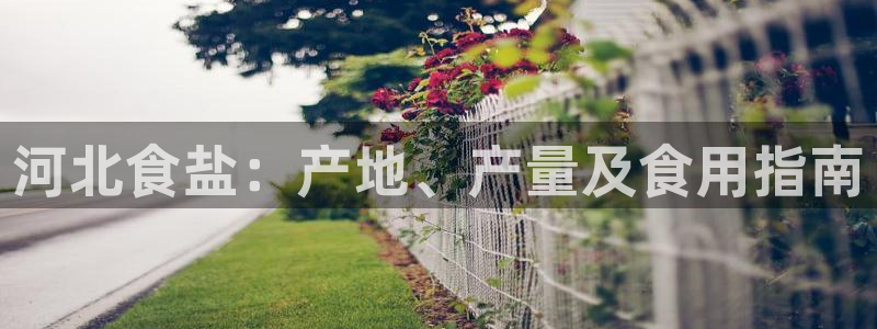 威九国际FT