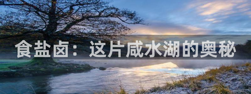 威九国际安全吗