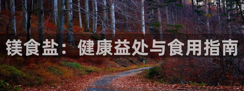 78mapp威九国际官网