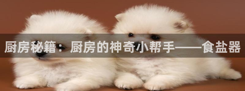 威九国际客服电话号码查询