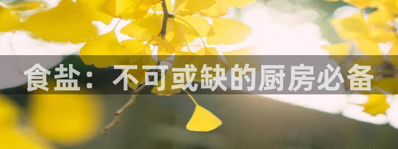 威九国际官方网站最新版本更新内容介绍