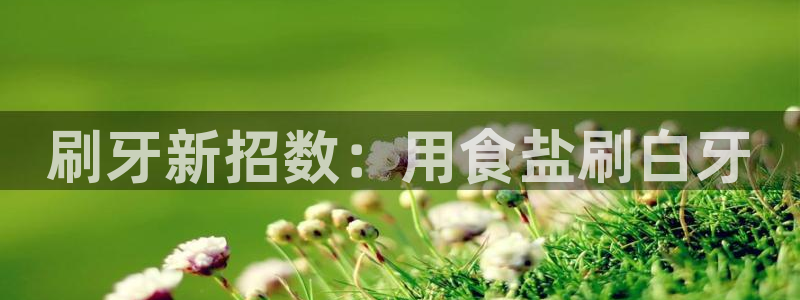 威九国际66m免费版