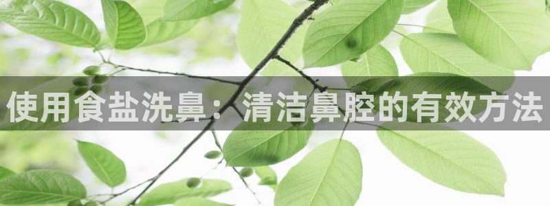 威九国际网站进入公司不断创新