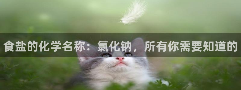 威九国际可以提现吗安全吗