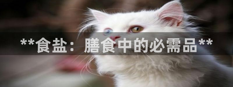 威九国际APP那个地方