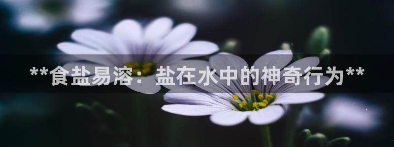 威九国际网站更新