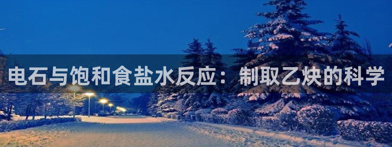 威九国际H