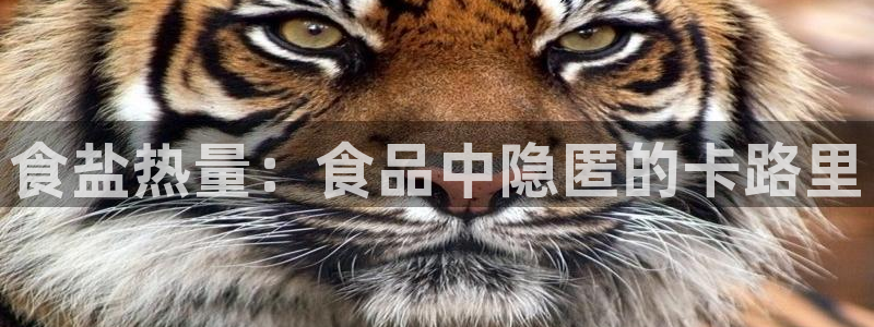 威九国际APP大全