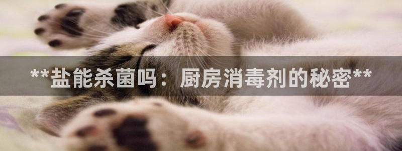 威九国际清砖码头在哪