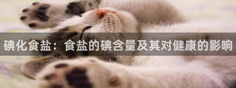威九国际app无法登陆怎么回事