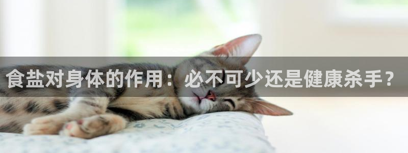 威九国际78mb特点