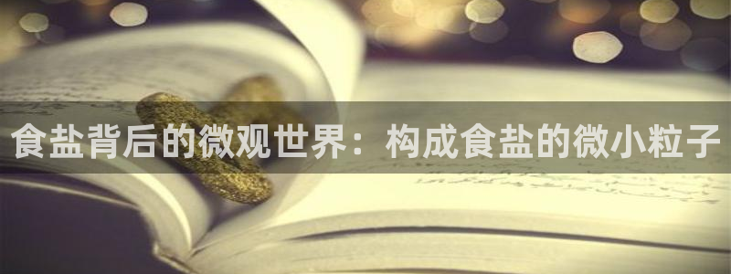威九国际小说