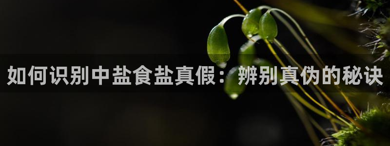 威九国际66m-66