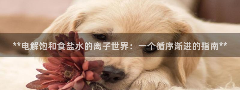 威九国际78mob游戏特色