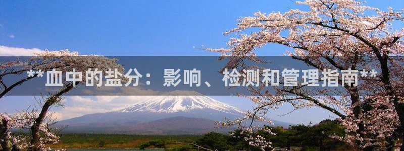 威九国际男主