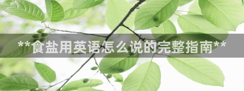 威九国际成长模式