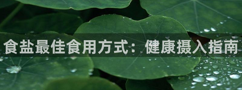 威九国际78mB官网版