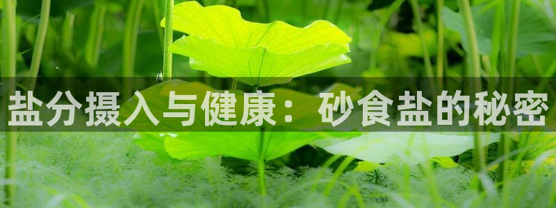 威九国际游戏网站
