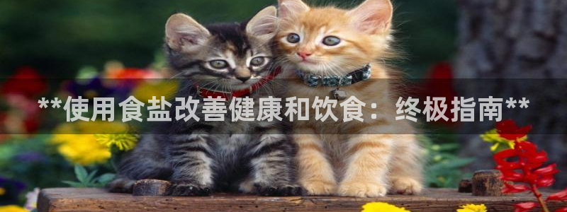 威九国际抡里