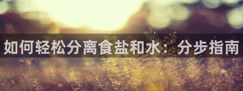 威九国际的网站入口在哪里