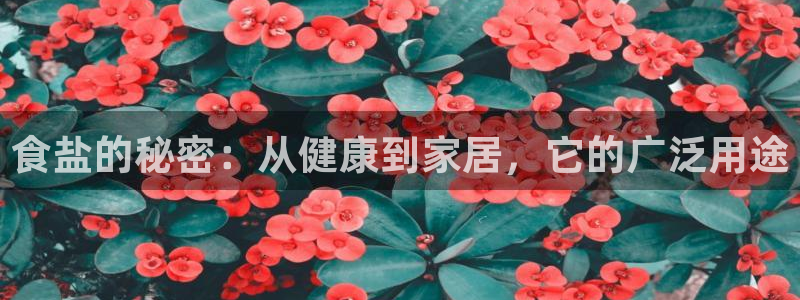 78mppt威九国际