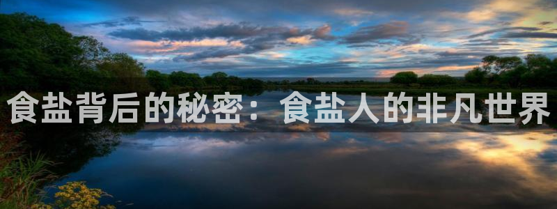 威九国际top