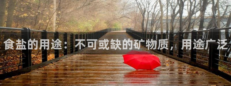威九国际女主名字