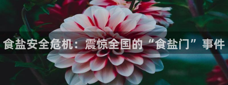 威九国际天美