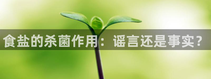 威九国际坑人的嘛