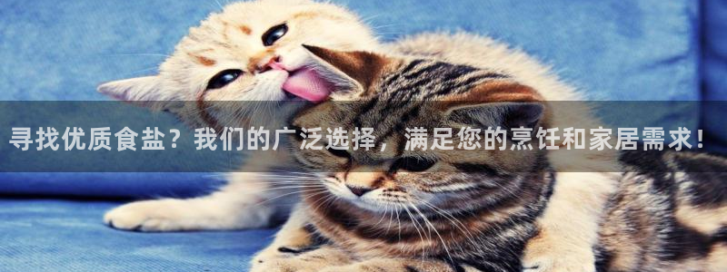威九国际游戏app网址