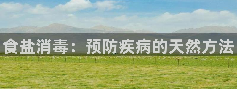 威九国际空降视频