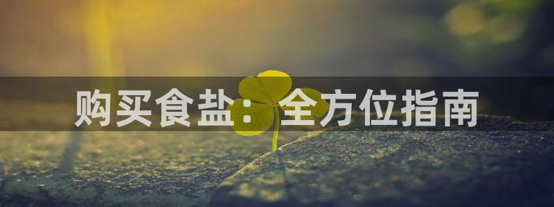 威九国际PPT