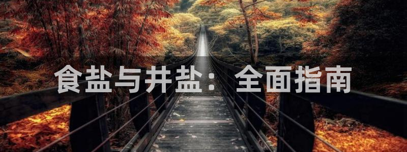 威九国际v8