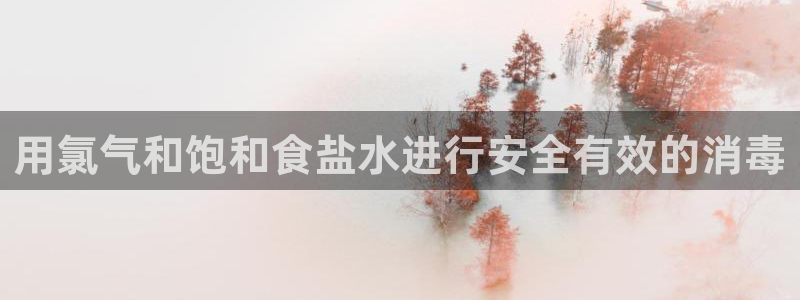 威九国际客服电话是多少