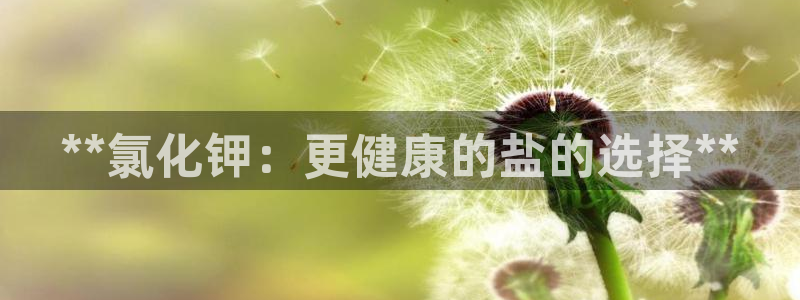 威九国际新