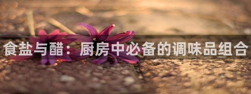 威九国际78mb特点