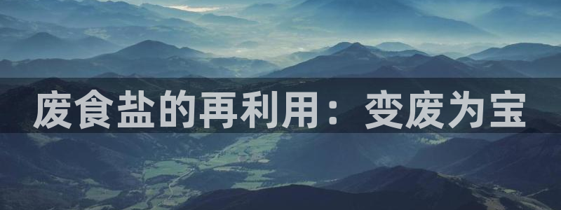 威九国际ppt免费下载网址