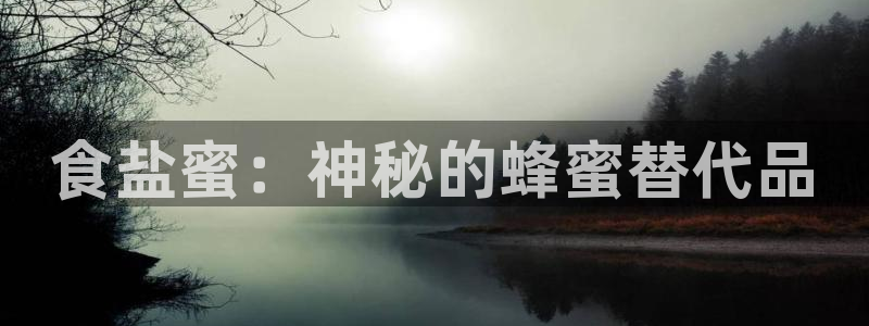威九国际app