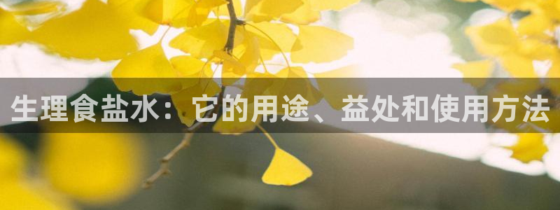 威九国际如何下载