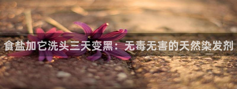 威九国际客服电话