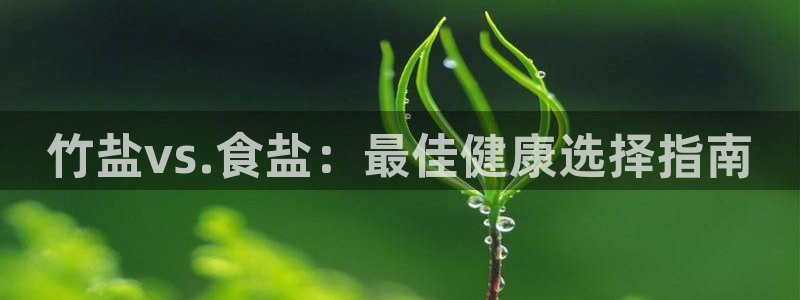 威九国际软件