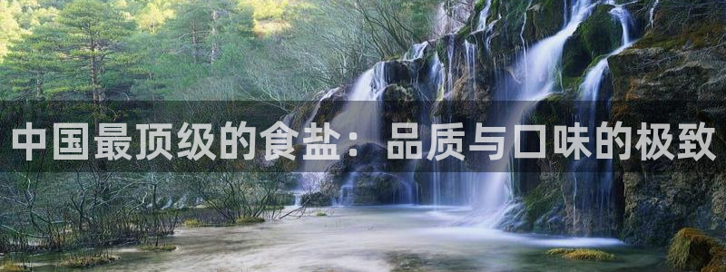 威九国际APP下载