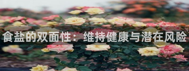 威九国际AN