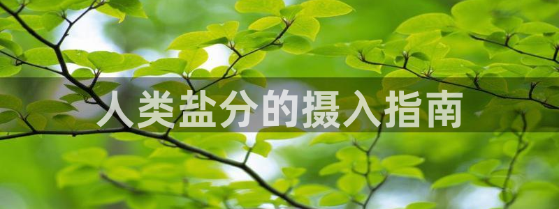 威九国际Info