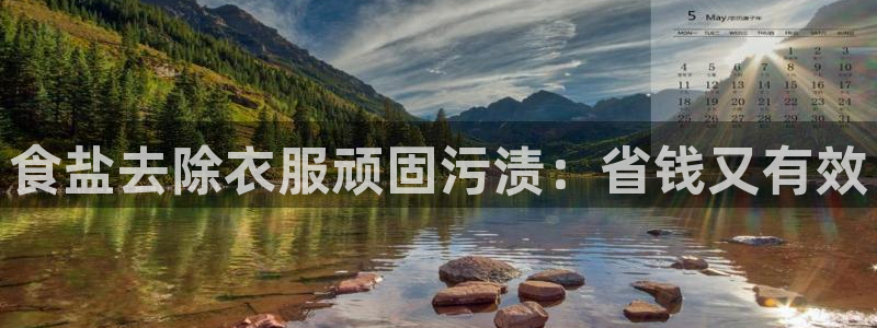 威九国际下载官网app