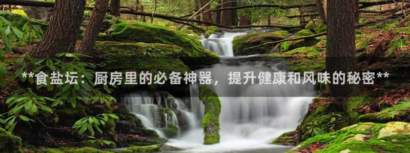 保定威九网络科技有限公司怎么样
