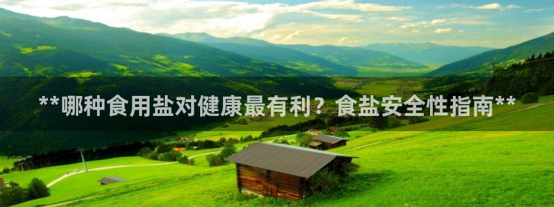威九国际66m