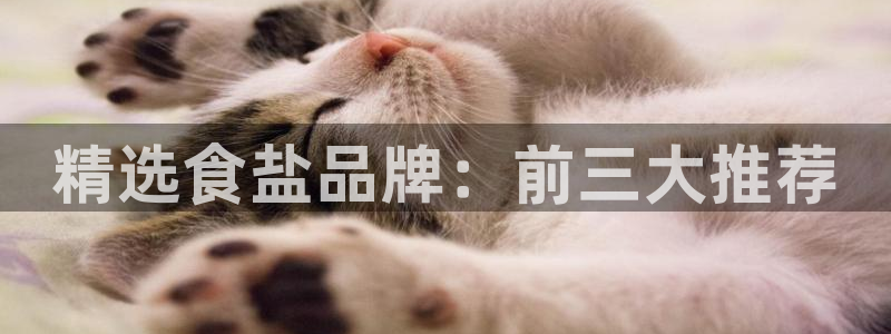 威九国际免费ppt网址